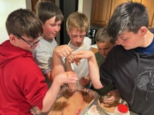 Img 0018